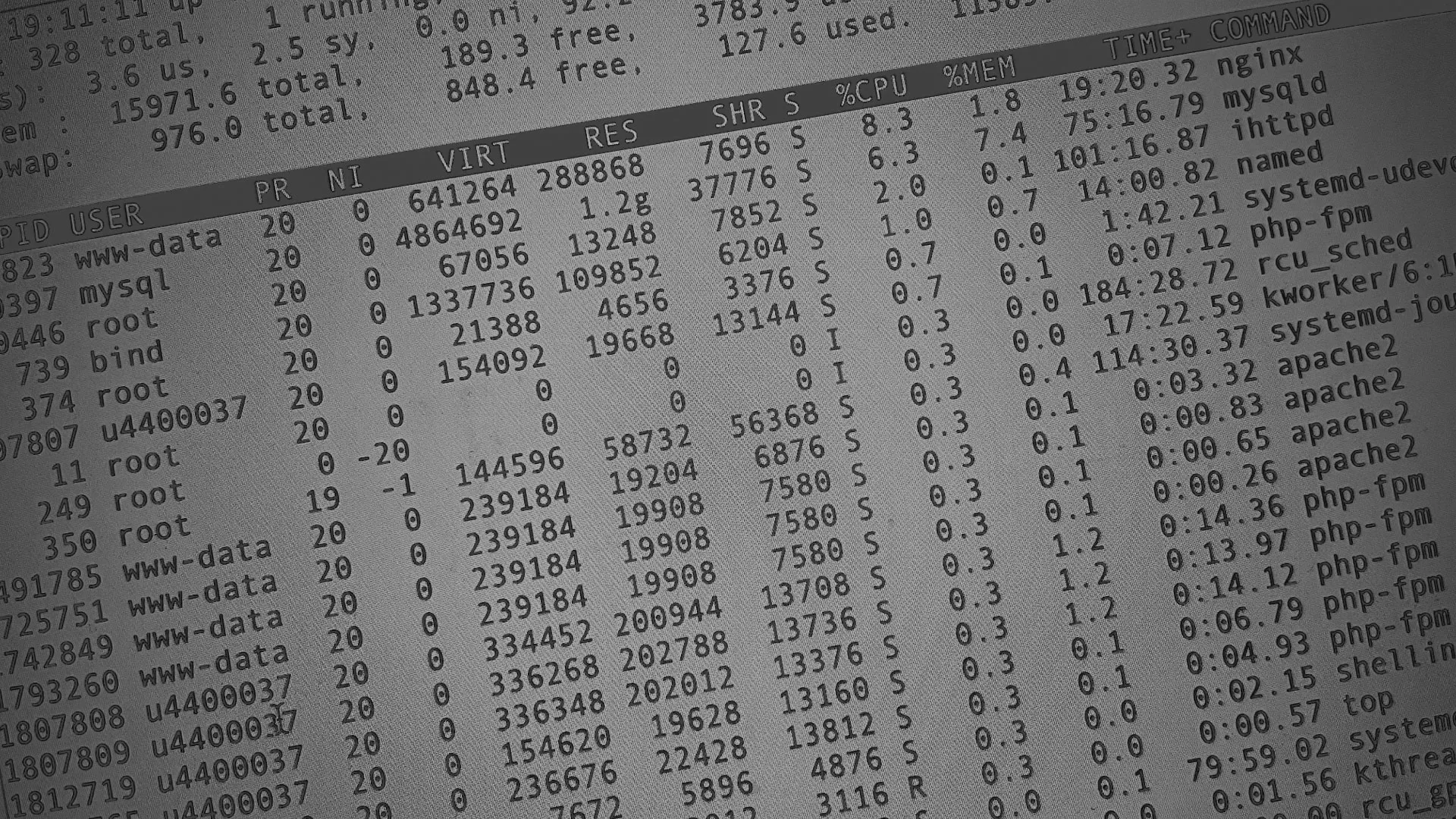 Настройка сервера в Сураже