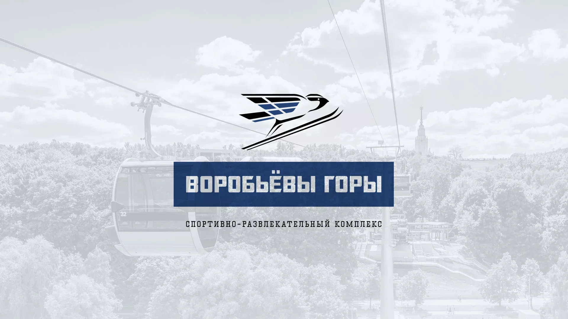 Разработка сайта в Сураже для спортивно-развлекательного комплекса «Воробьёвы горы»